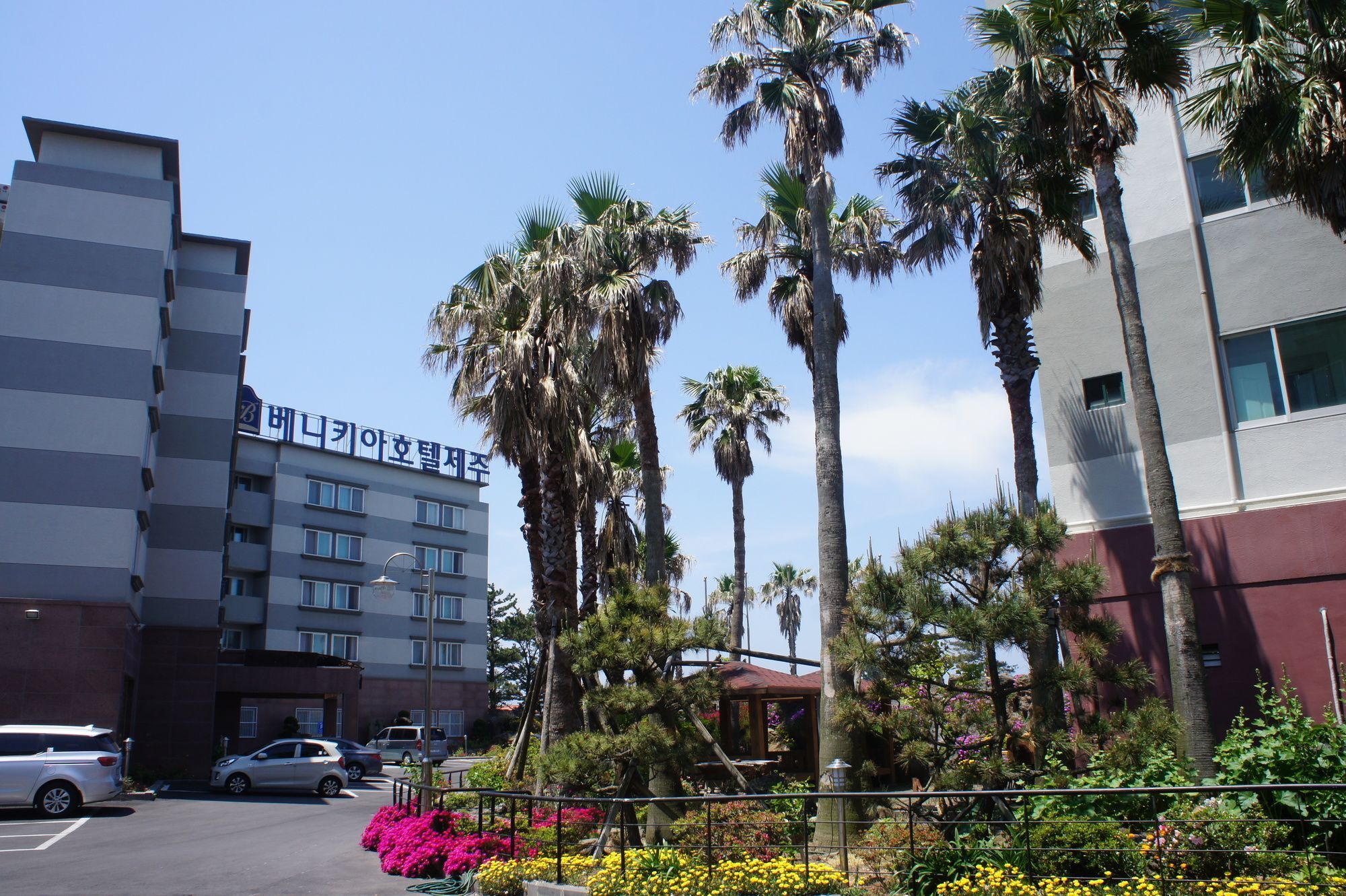Benikea Hotel Jeju by Eksteriør bilde