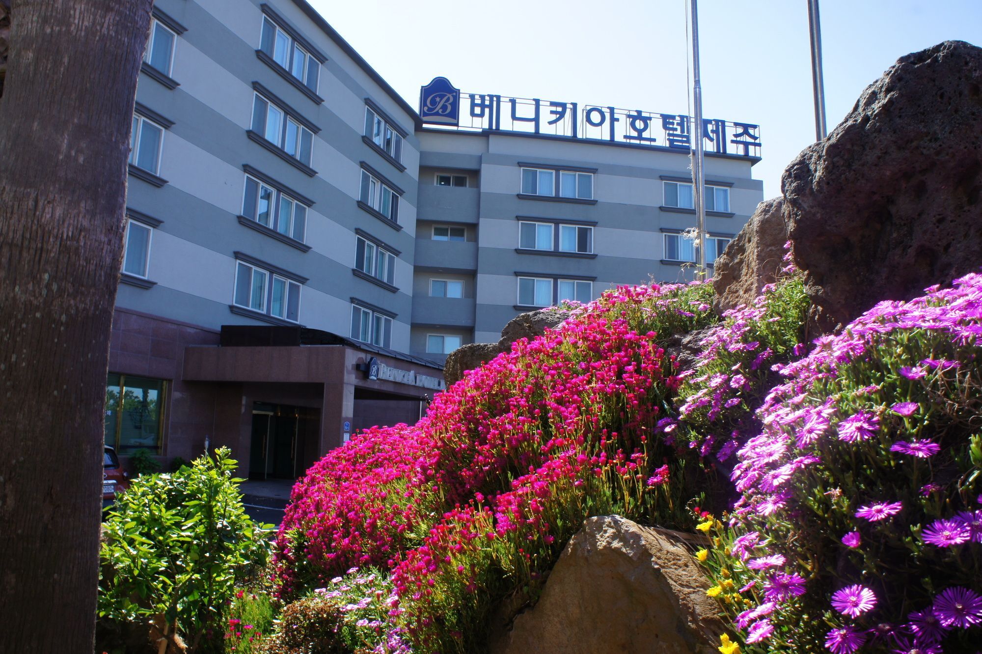 Benikea Hotel Jeju by Eksteriør bilde